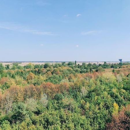 Airport Studio For Two, Free Parking, Airport View Bratislava Eksteriør billede